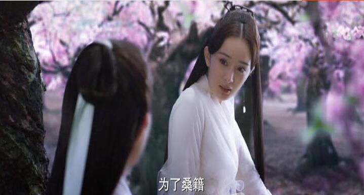 經典大陸劇 三生三世十里桃花 楊冪/趙又廷/迪麗熱巴 20碟DVD盒裝 經典大陸劇 三生三世十里桃花 楊冪/趙又廷/迪麗熱巴 20碟DVD盒裝