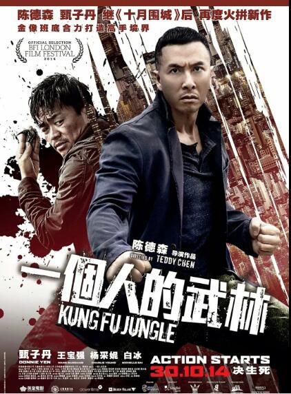 一個人的武林 雙碟DVD收藏版 甄子丹/王寶強/白冰/楊采妮 一個人的武林 雙碟DVD收藏版 甄子丹/王寶強/白冰/楊采妮