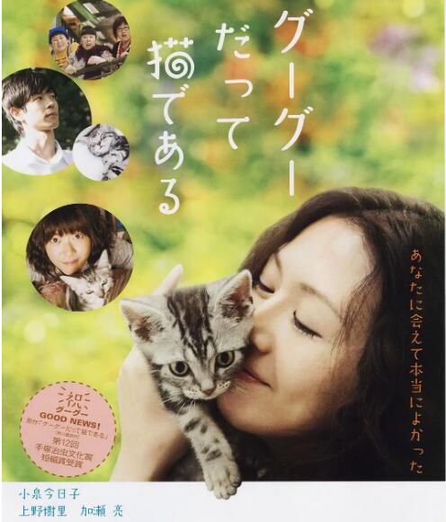 2008日本高分劇情《咕咕是一只貓/貓貓向前沖/貓咪咕咕》.日語中字 2008日本高分劇情《咕咕是一只貓/貓貓向前沖/貓咪咕咕》.日語中字