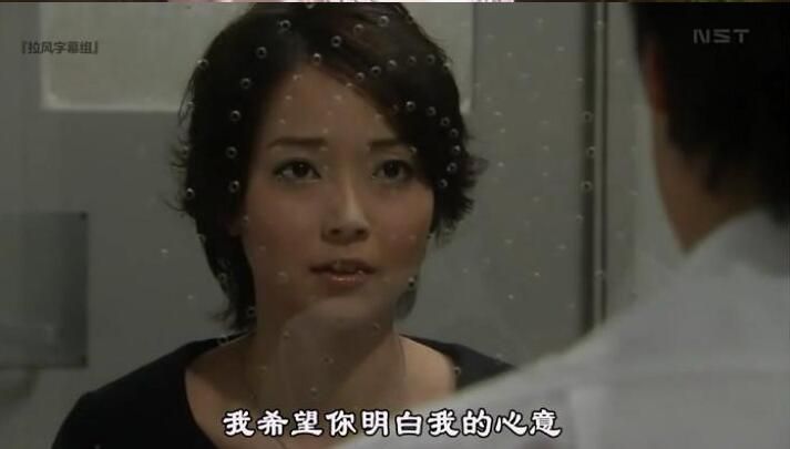 2009午間懸疑劇DVD：夏之秘密 全65集【山田麻衣子/瀬川 亮】5碟