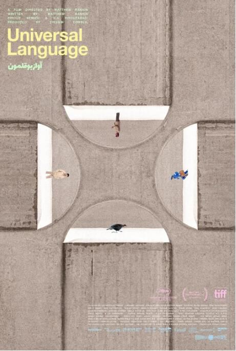 2024加拿大電影《共同的語言/大同世界/加拿大有個小波斯》法語中字 盒裝1碟 2024加拿大電影《共同的語言/大同世界/加拿大有個小波斯》法語中字 盒裝1碟