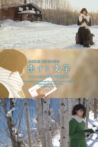 2016高分日劇 橋本奈奈未的戀愛文學 橋本奈奈未 日語中字 盒裝1碟 2016高分日劇 橋本奈奈未的戀愛文學 橋本奈奈未 日語中字 盒裝1碟