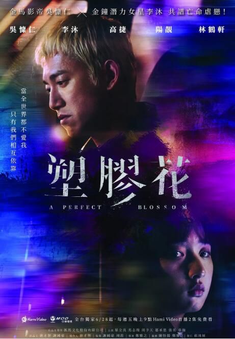 2024台劇 塑膠花【TV全集+幕後花絮】/A Perfect Blossom 吳慷仁/李沐 高清盒裝4碟 2024台劇 塑膠花【TV全集+幕後花絮】/A Perfect Blossom 吳慷仁/李沐 高清盒裝4碟