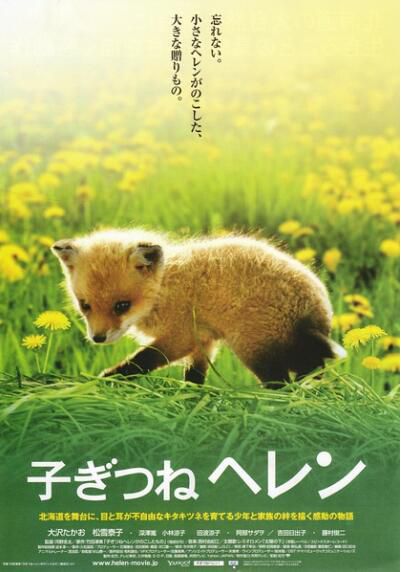 日本經典感人電影 子狐物語/生命奇跡小狐貍 DVD收藏版 日本經典感人電影 子狐物語/生命奇跡小狐貍 DVD收藏版
