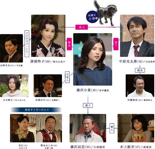 憐愛(日劇)田中麗奈 吉田栄作 憐愛(日劇)田中麗奈 吉田栄作