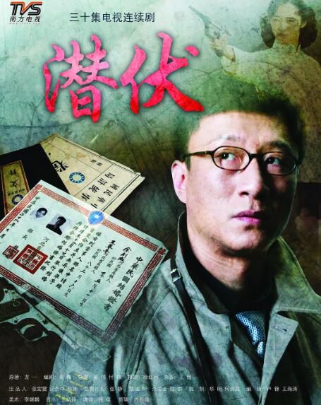 2009孫紅雷姚晨高分《潛伏》全30集.國語中字 6碟完整版