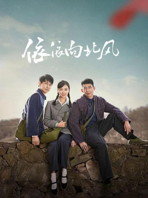 2025大陸劇《依依向北風》菅紉姿/魯諾 國語中字 盒裝7碟