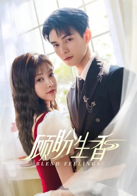 2025大陸劇《顧盼生香》何昶希/張楚寒 國語中字 盒裝2碟