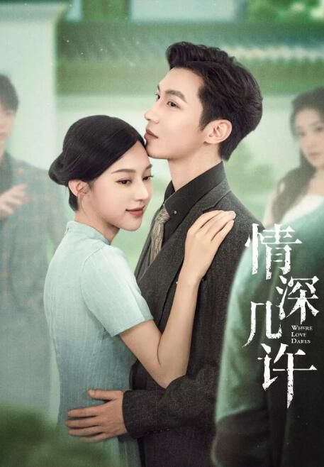 2025大陸劇《情深幾許》丁燃/李若天 國語中字 盒裝1碟