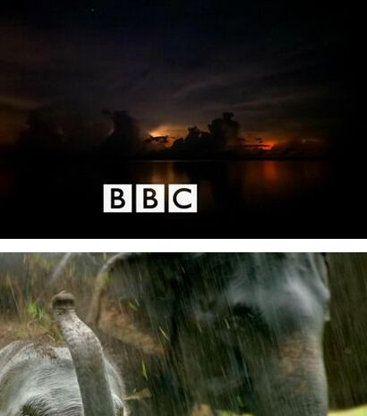 BBC季風的奇跡