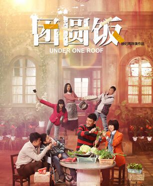 2014高分大陸劇 團圓飯 李光潔/馬蘇 國語中字 盒裝8碟