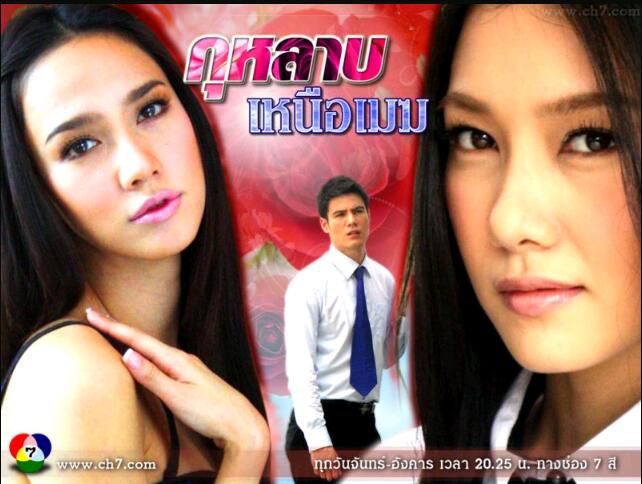 2009泰劇《雲上的玫瑰》Stephan&AumP（16集完結）泰語中字 8碟