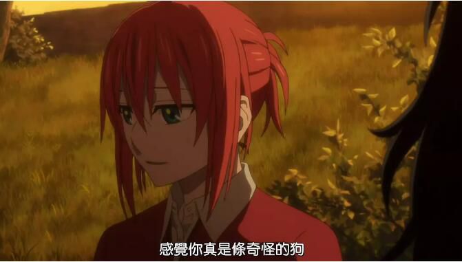 2018動畫 魔法使的新娘/魔法使之嫁 2碟 2018動畫 魔法使的新娘/魔法使之嫁 2碟