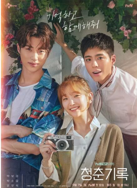 2020韓劇 青春記錄 樸寶劍/樸素丹/邊佑錫 韓語中字 6碟DVD 2020韓劇 青春記錄 樸寶劍/樸素丹/邊佑錫 韓語中字 6碟DVD