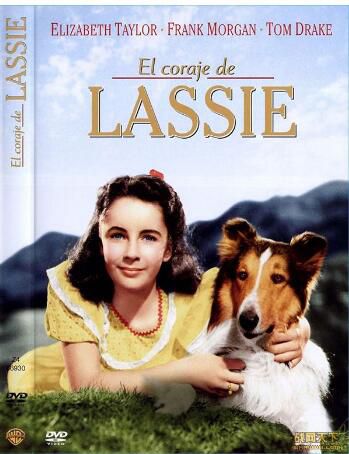 1946美國電影 靈犬和凱茜 國語無字幕 DVD