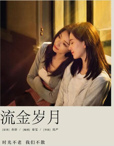 2020大陸劇 流金歲月 劉詩詩/倪妮 國語中字 8碟完整版