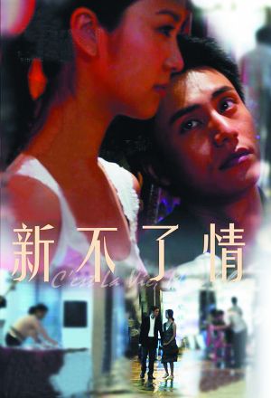 新不了情 新不了情