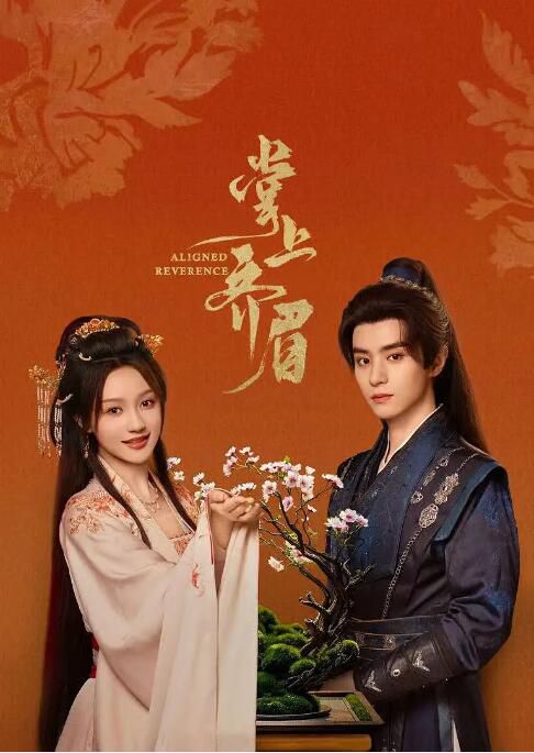 2025大陸劇 掌上齊眉 鄧孝慈/孫藝燃 國語中字 盒裝2碟