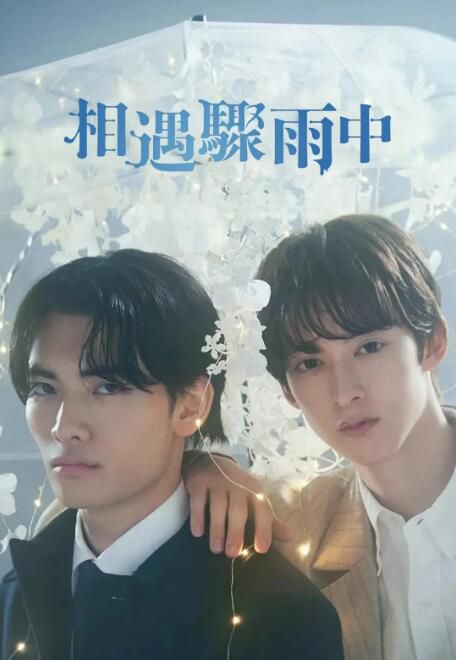 2025日劇 相遇驟雨中/相逢驟雨中 伊藤明日陽 日語中字 盒裝2碟