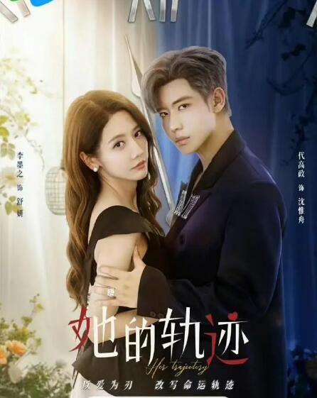 2025大陸劇《她的軌跡》李墨之/代高政 國語中字 盒裝2碟