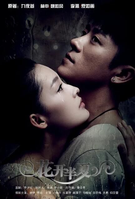2013大陸劇【花開半夏/弟弟,再愛我一次】【李沁 林申】【國語中字】清晰5碟完整版 2013大陸劇【花開半夏/弟弟,再愛我一次】【李沁 林申】【國語中字】清晰5碟完整版
