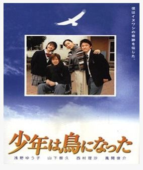2001高分日劇電影 變成鳥的少年 山下智久 日語中字 盒裝1碟 2001高分日劇電影 變成鳥的少年 山下智久 日語中字 盒裝1碟