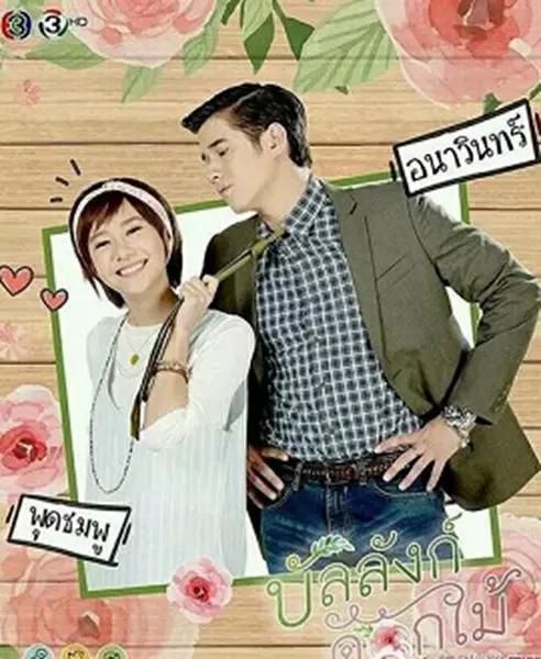 泰劇:鮮花寶座(Mario Toey)4碟 泰劇:鮮花寶座(Mario Toey)4碟