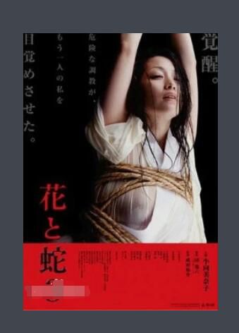 2010日本情澀電影《花與蛇3》小向美奈子.日語中字 2010日本情澀電影《花與蛇3》小向美奈子.日語中字
