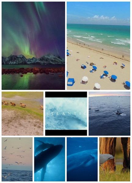 BBC:大西洋:地球最狂野的海洋(紀錄片)/Atlantic: The Wildest Ocean on Earth BBC:大西洋:地球最狂野的海洋(紀錄片)/Atlantic: The Wildest Ocean on Earth