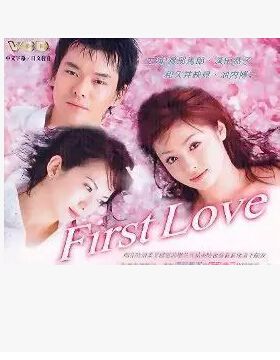 日劇《初戀 First Love》深田恭子/和久井映見 6DVD