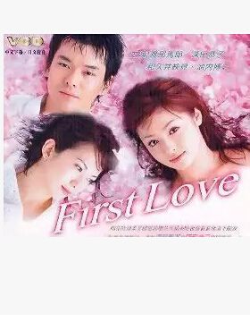 日劇《初戀 First Love》深田恭子/和久井映見 6DVD 日劇《初戀 First Love》深田恭子/和久井映見 6DVD