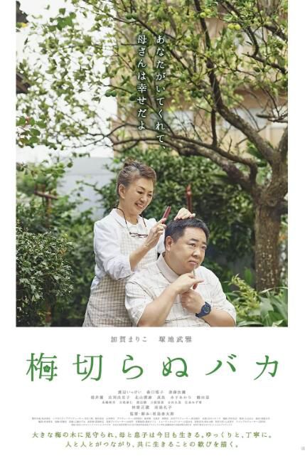 2021日本電影《不砍梅樹的傻瓜/討厭我長大》加賀麻理子 日語中字 盒裝1碟 2021日本電影《不砍梅樹的傻瓜/討厭我長大》加賀麻理子 日語中字 盒裝1碟