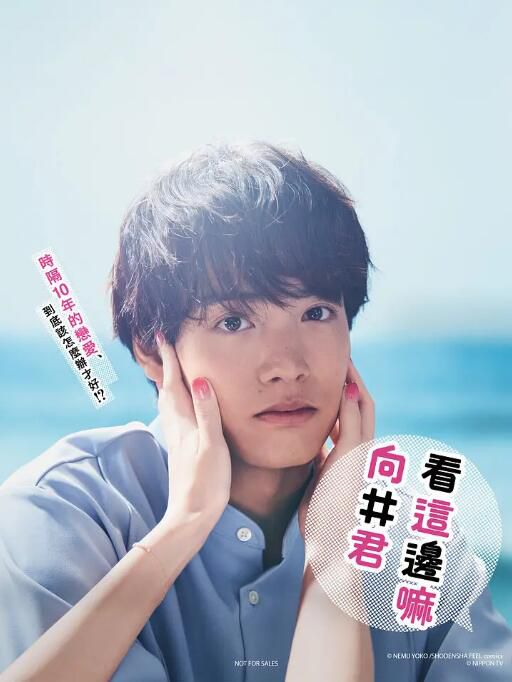 2023日劇《往這邊看 向井君/看向這邊啊向井君》日語中字 2碟 2023日劇《往這邊看 向井君/看向這邊啊向井君》日語中字 2碟