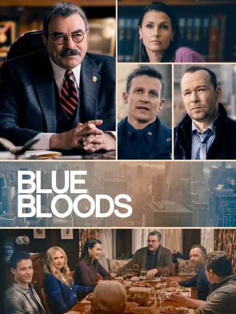 2022高分美劇 警察世家/Blue Bloods 第十三季 湯姆·塞立克 英語中字 盒裝4碟