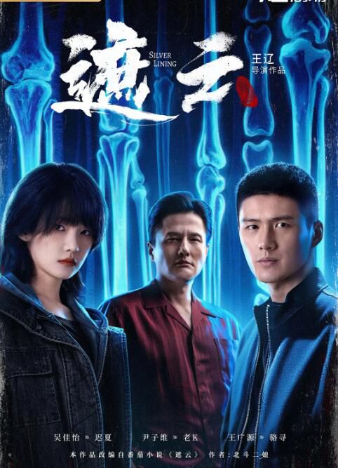 2025大陸劇 遮雲 吳佳怡/王廣源 國語中字 盒裝4碟