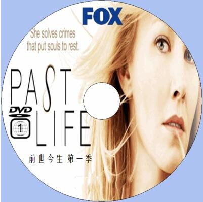 2010美國犯罪劇DVD:前世今生 第一季/前世追案/異世奇案Past Life