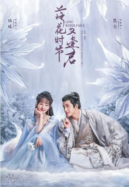 2025大陸劇 落花時節又逢君 上部+下部 劉學義/胡意旋 高清盒裝8碟