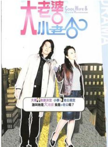 2006台劇 大老婆小老公 潘儀君/張勳傑 國語中字 盒裝5碟
