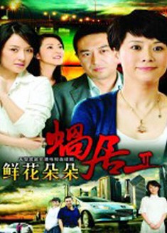 2009大陸劇【蜗居2鲜花朵朵 (蝸居第二部) 】【海清 張嘉譯】清晰6碟