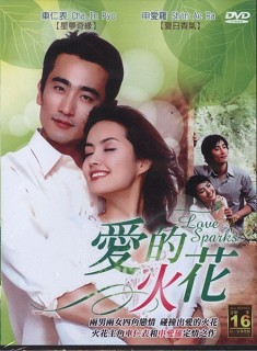 1994韓劇 愛的火花/愛全為妳 車仁表/申愛羅 台灣國語中字 盒裝3碟 1994韓劇 愛的火花/愛全為妳 車仁表/申愛羅 台灣國語中字 盒裝3碟
