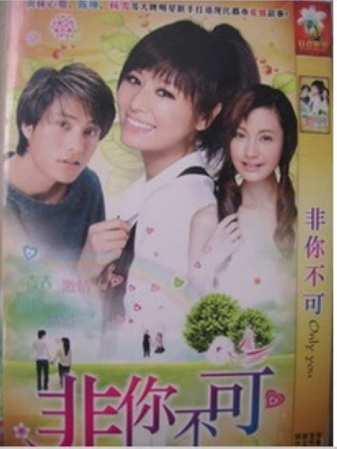 2001大陸劇【非你不可】【陳坤/林心如】【國語中字】4碟完整版 2001大陸劇【非你不可】【陳坤/林心如】【國語中字】4碟完整版