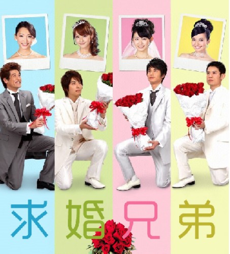 求婚兄弟 求婚兄弟